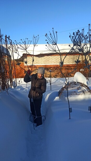 Кованая анемона