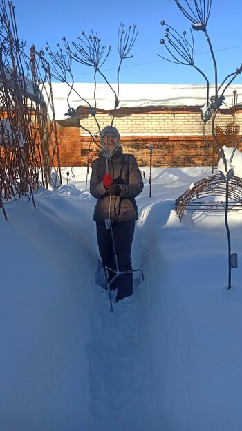 Кованая анемона