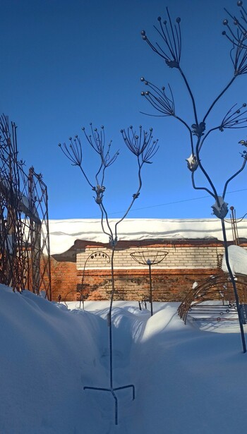 Кованая анемона (3)