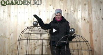 Клетка для роз (3)