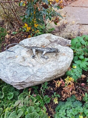 Ящерица кованая (3)