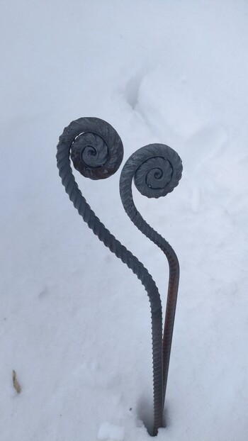 Папортник весенний кованный