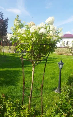 Опора для гортензии "Ваза"