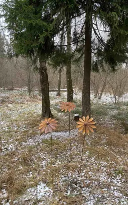 Стальной цветок Гигантская Ромашка