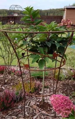 Кустодержатель Ля Натурель