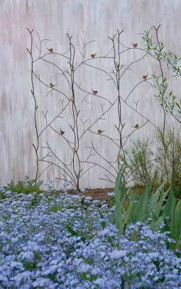 Садовая шпалера