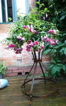 Подставка для цветов "Сюзи" Кованая