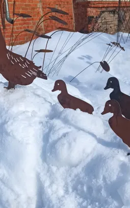 Семейка уток