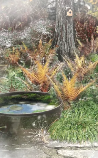 Водоемчик с бортиком