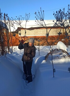 Кованая анемона