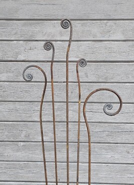 Папортник Весенний. Кованый