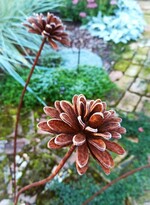 Кованное украшение для сада Далия. Из коллекции Ферроцветики