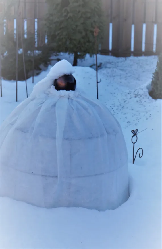 Клетка-опора для роз