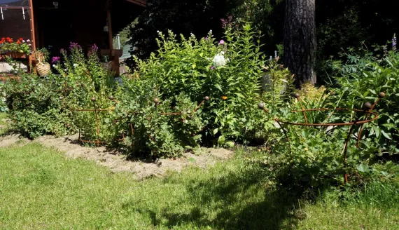 Кустодержатель кованый "Элегантный "